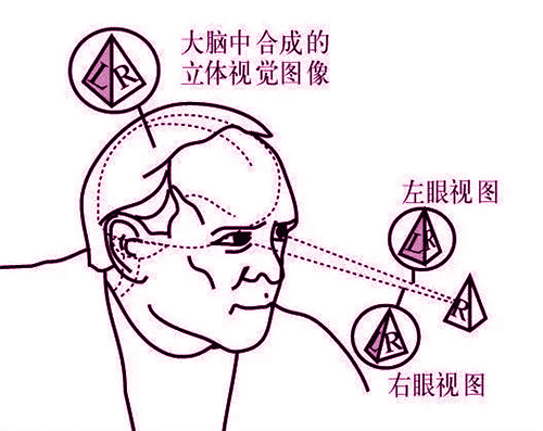 优发国际·随优而动一触即发